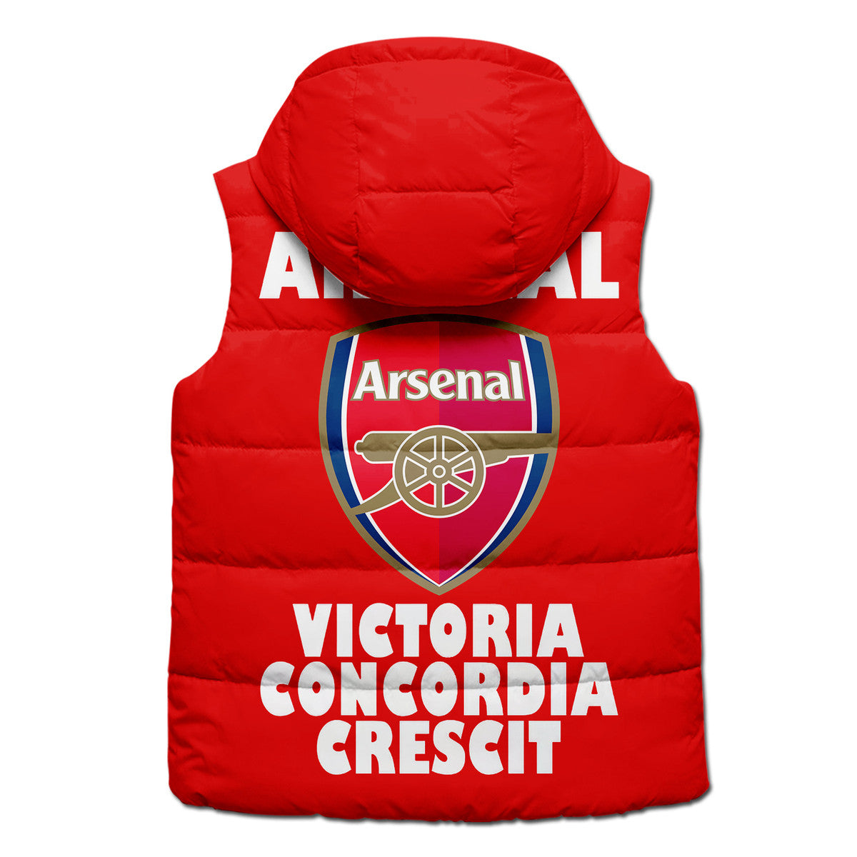 Arsenal FC Sleeveless Windproof Vest 3D P091001